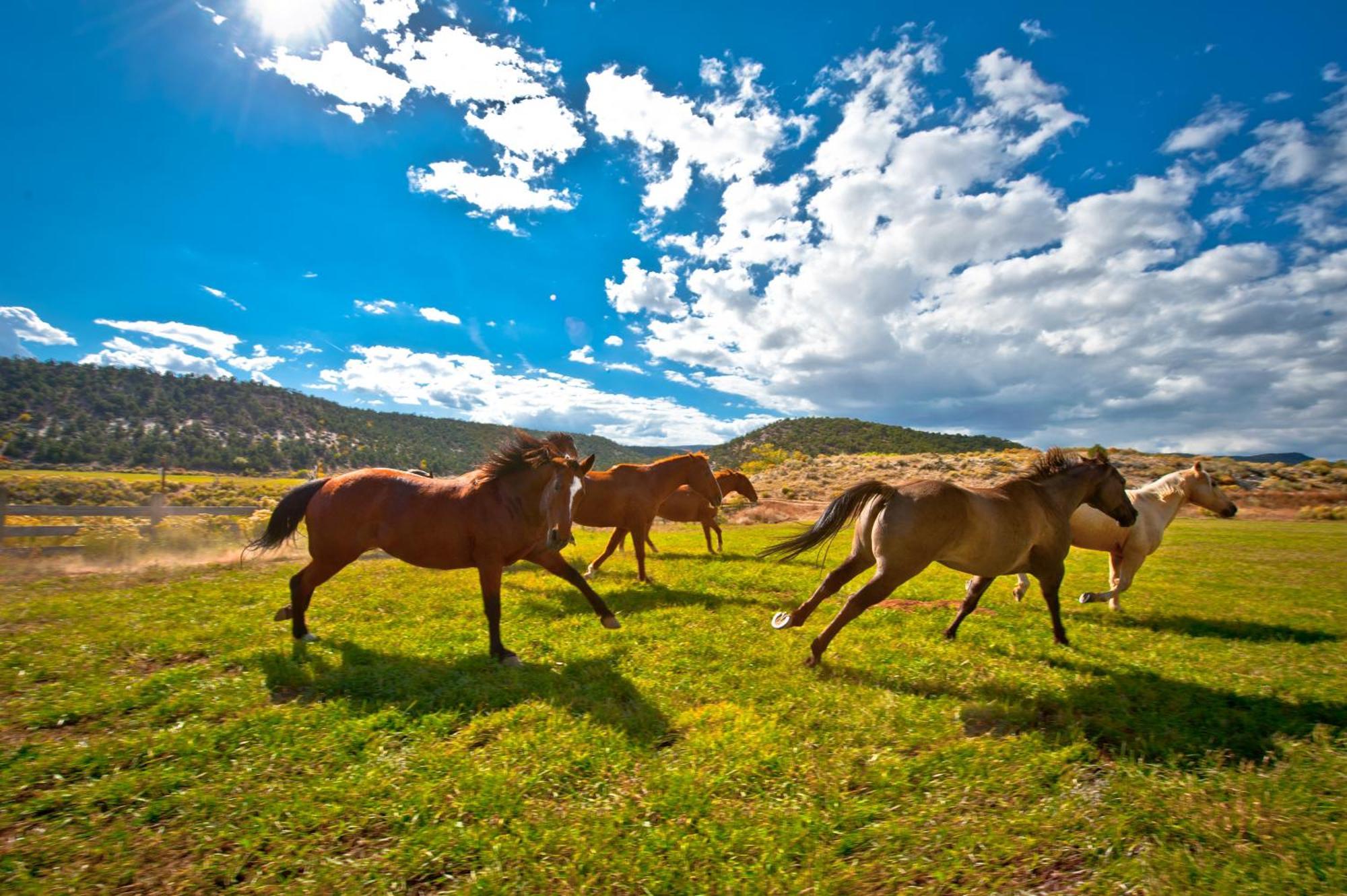 Вилла Boulder Mountain Guest Ranch Экстерьер фото